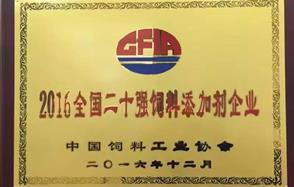 ������Խ��ɷݻ� ��2016���¶�ʮǿ�������Ӽ���ҵ���ƺ�