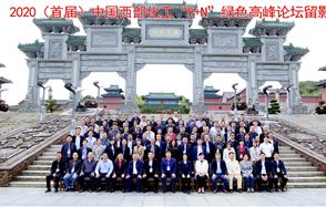 ������Խ��ɷݳа�2020�й�����������5+N����ɫ�����̳